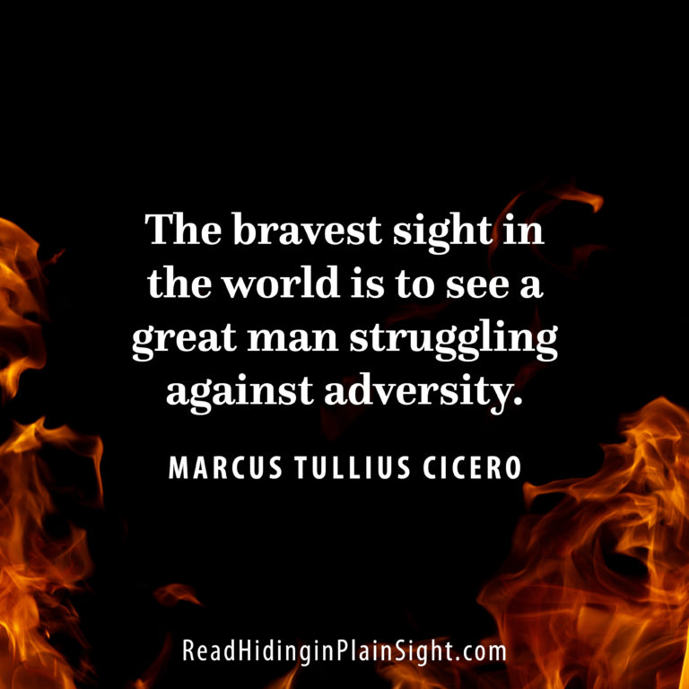 The bravest sight in the world is to see a great man struggling against adversity.